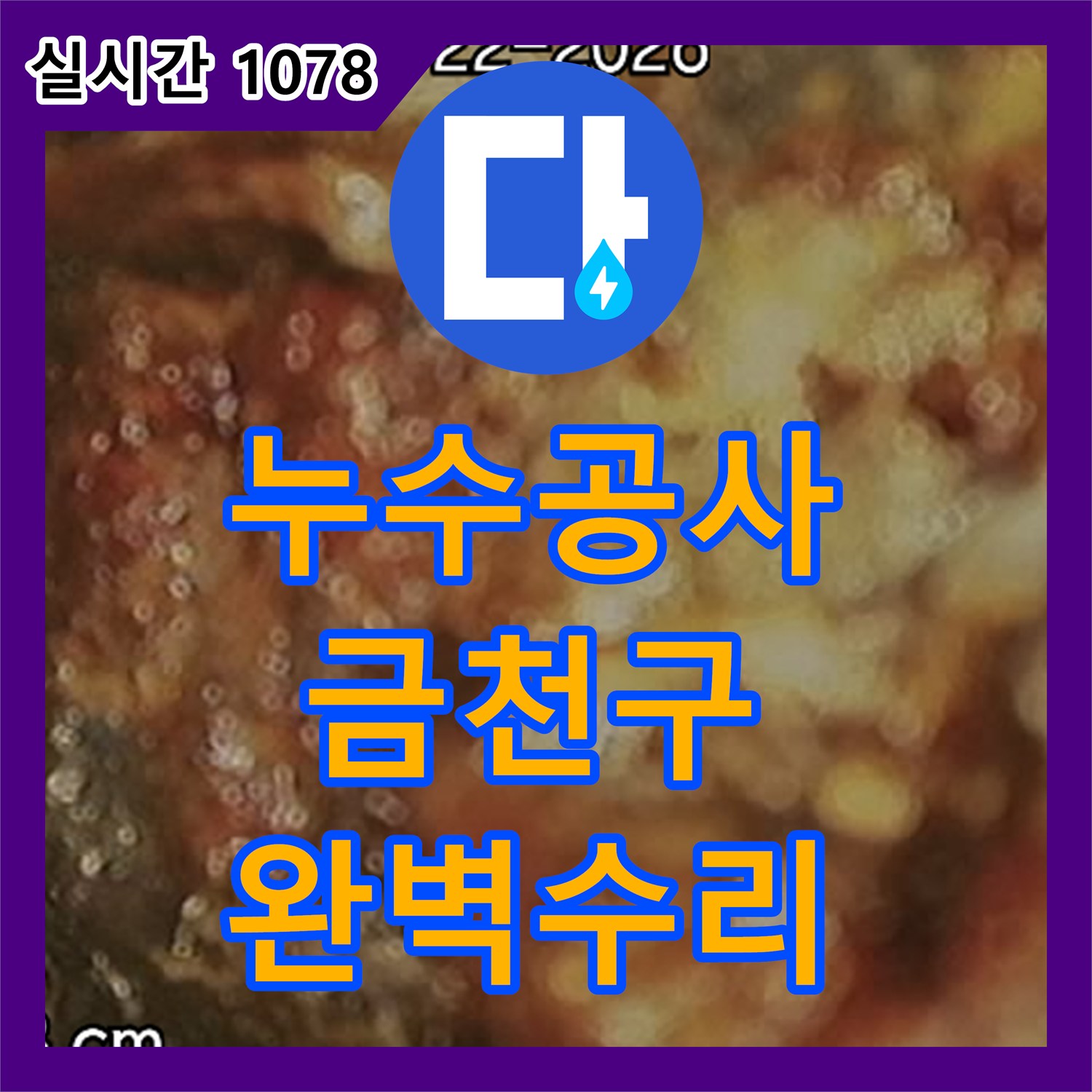 누수전문업체, 오수펌프 문제 완벽 해결 공사 과정 공개 - 서울 금천구