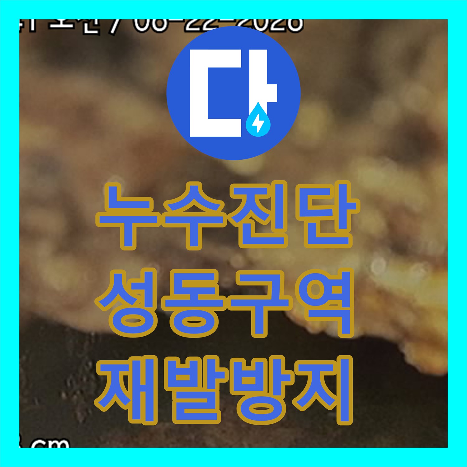 누수탐지전문가가 오래된 배관 파손을 첨단 장비로 해결한 이야기, 서울 성동구 현장