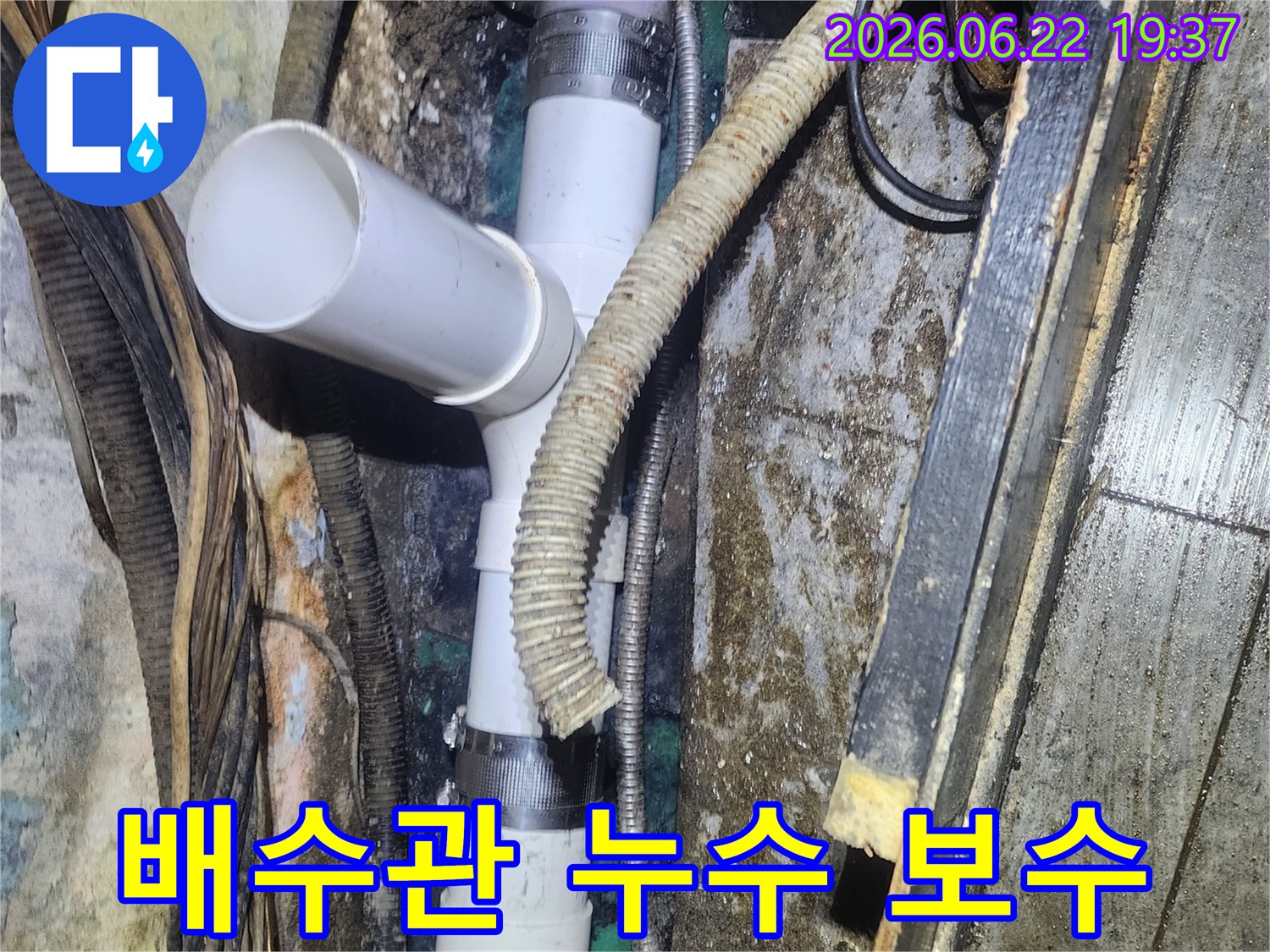 지하-또는-숨겨진-공간에서-발견된-오래된-배수관의-누수-현장과-새-배관으로의-교체-작업