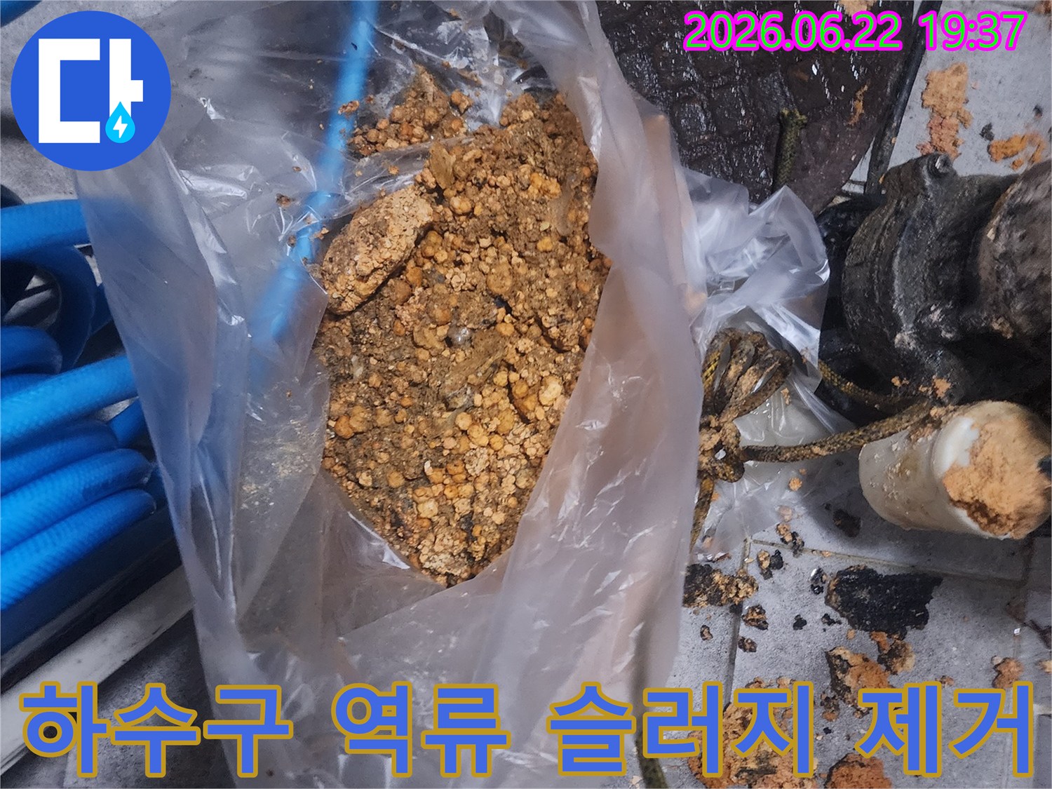 하수구에서 제거된-끈적한 기름 슬러지와-이물질이 투명 봉투에 담겨있는 모습