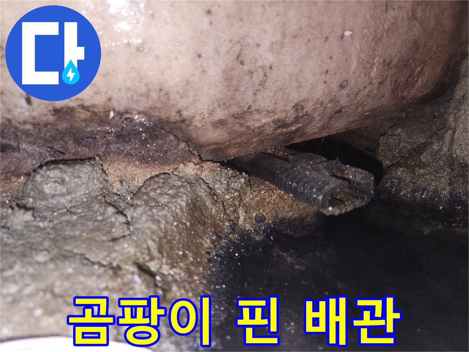 누수-탐지-후-발견된-오염된-배관-상태를-자세히-보여줍니다