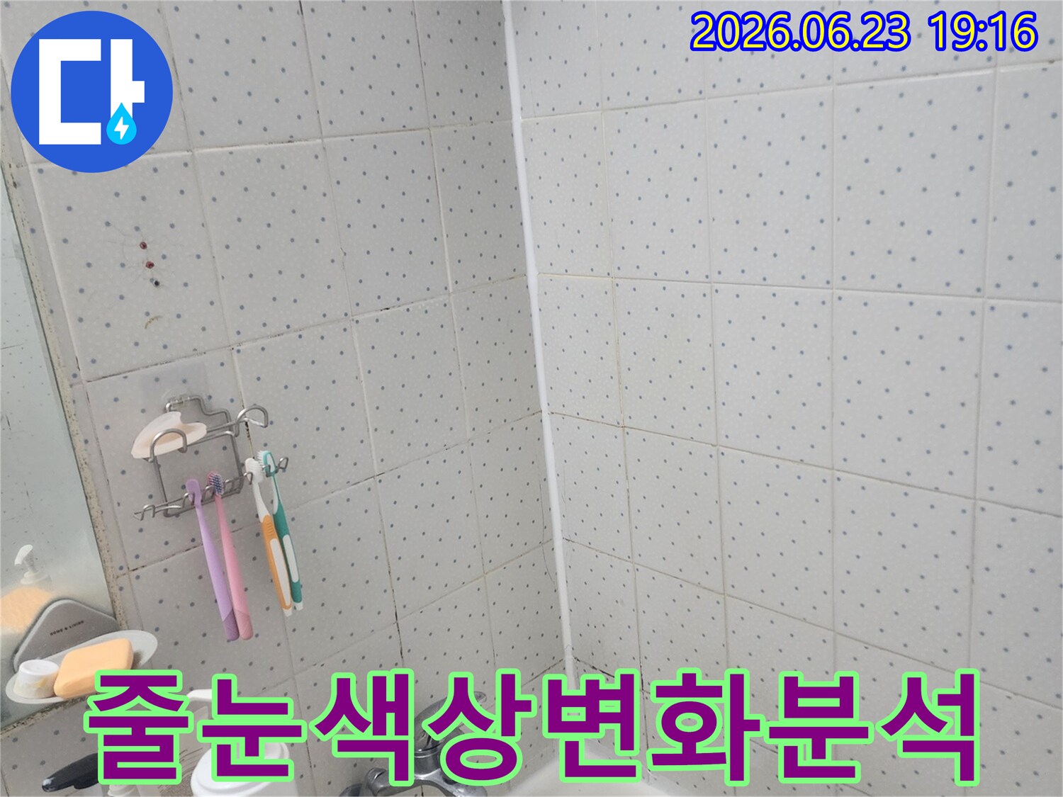 동대문구-사가정로-아파트-욕실-누수-타일-줄눈-색상-변화-분석-현장