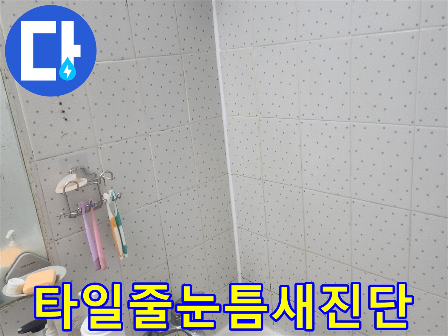 동대문구-사가정로-욕실-미세-누수-타일-줄눈-틈새-정밀-진단-과정