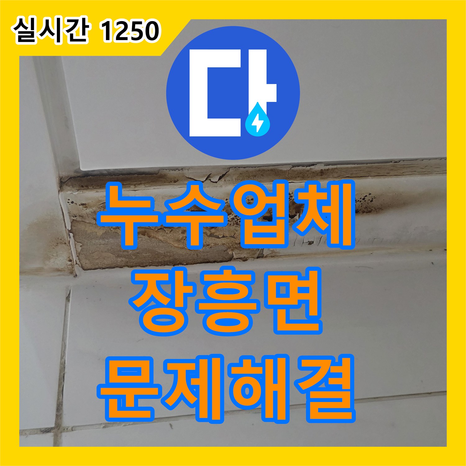 누수설비업체 발생한 누수 문제, 어떻게 원인을 찾아내는지, 양주시 장흥면