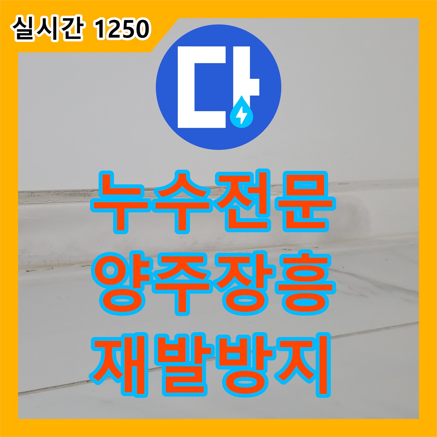 누수전문 발생한 누수 문제, 어떻게 재발 없이 고치는지, 경기 양주시 장흥면