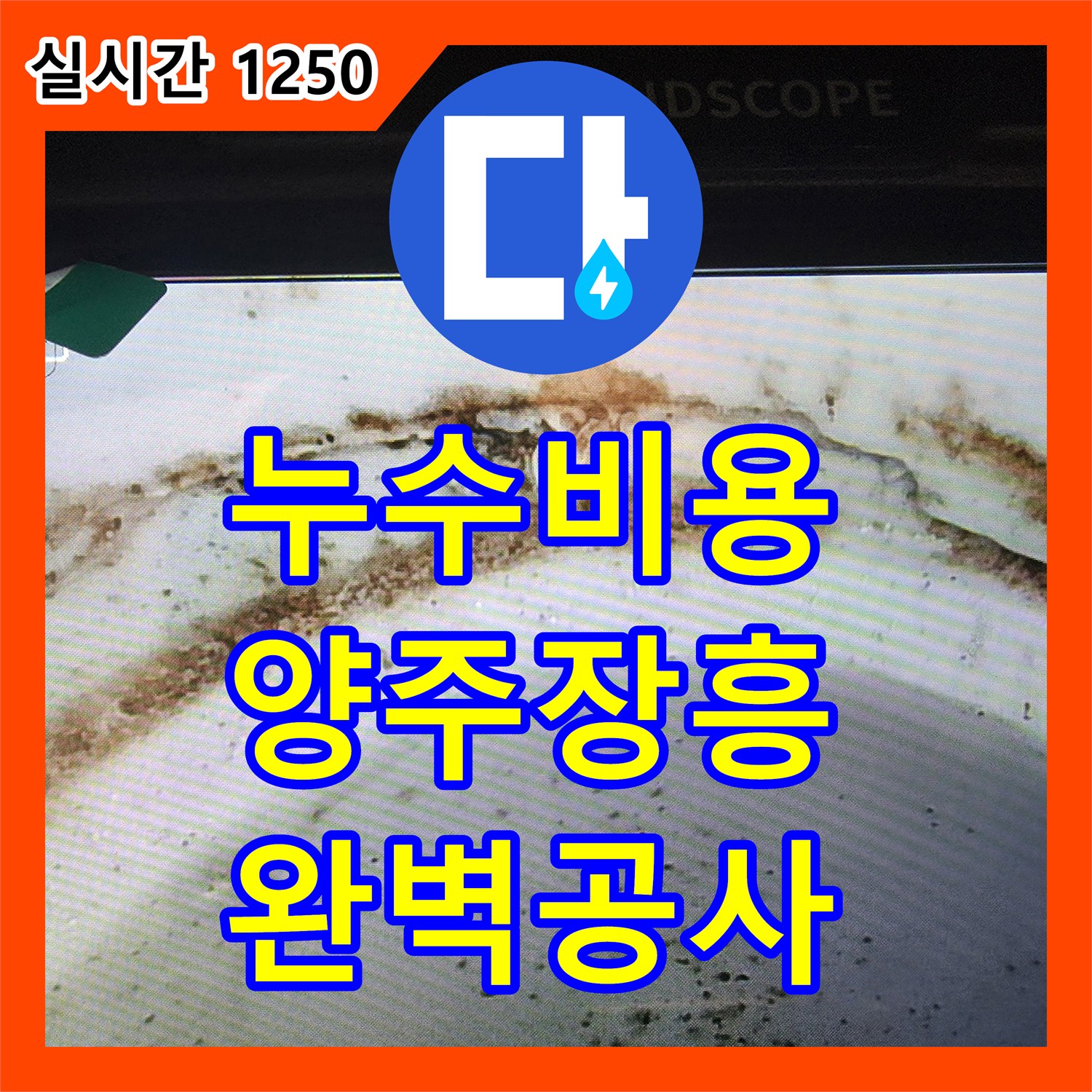 누수탐지비용 발생한 누수 문제, 어떻게 공사하는지, 경기 양주시 장흥면