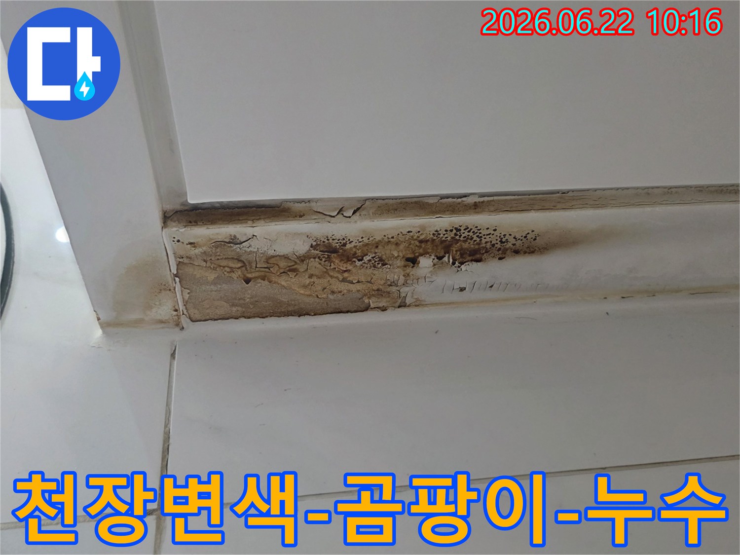 천장과-벽이-만나는-부분에-발생한-심각한-누수-얼룩과-곰팡이-성장으로-인한-손상-모습