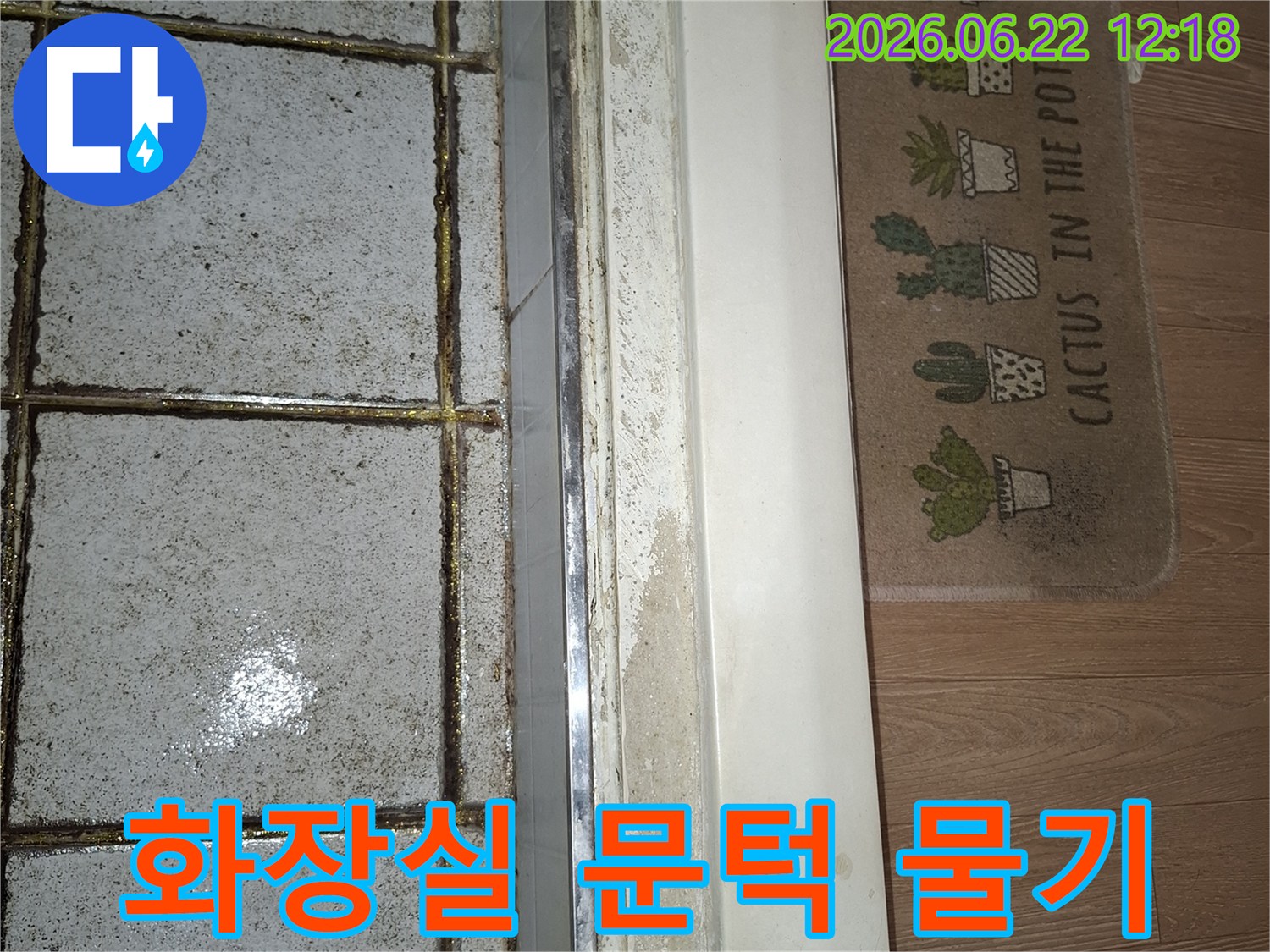 화장실 문턱 주변에 물기가 스며들어 마루가 젖은 모습을 담은 이미지-누수 원인 파악을 위한 현장 사진-전문가의 도움이 필요한 상황