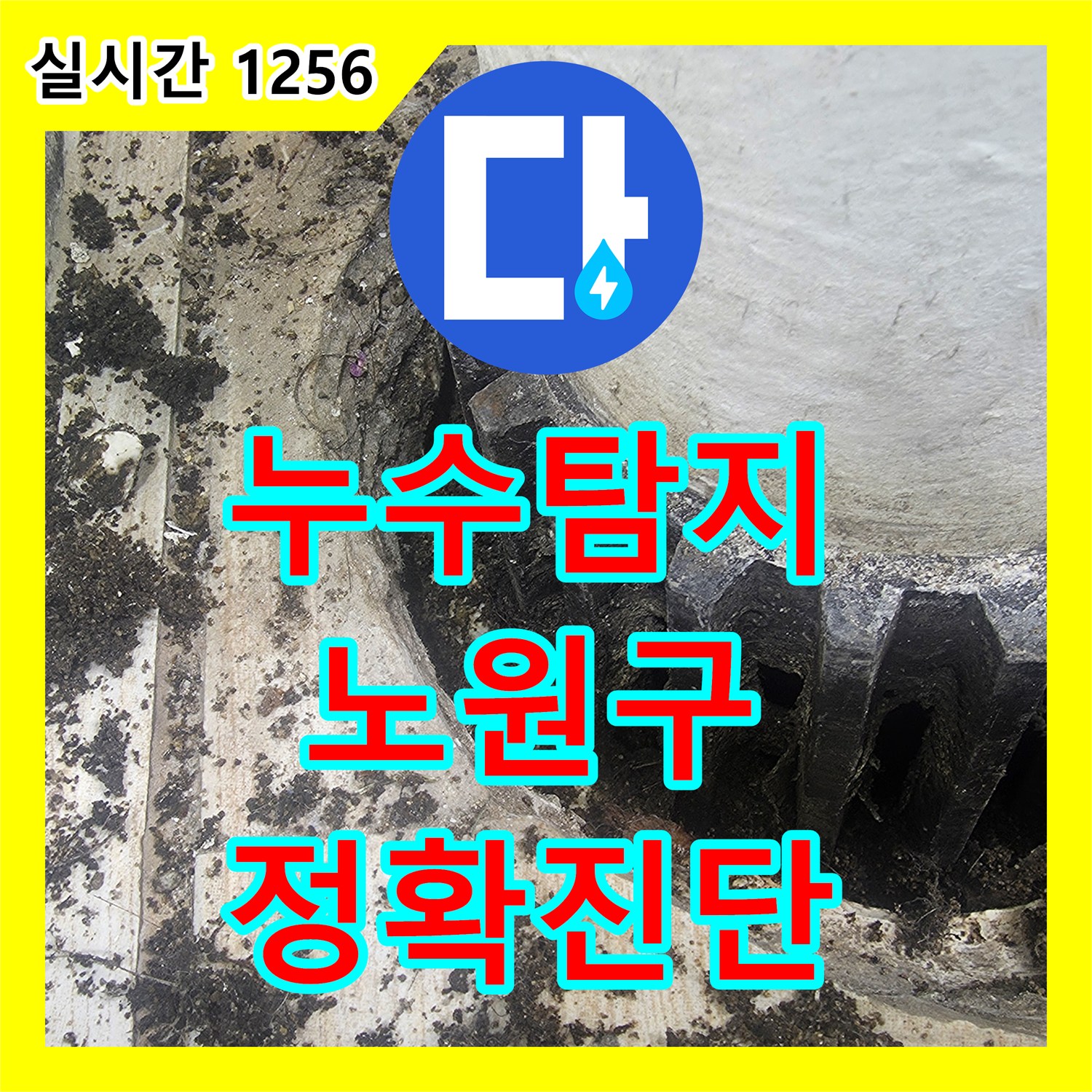 누수설비업체, 누수 흔적, 첨단 장비로 숨겨진 원인을 찾아내는 탐지 전문가의 이야기 - 서울 중계동