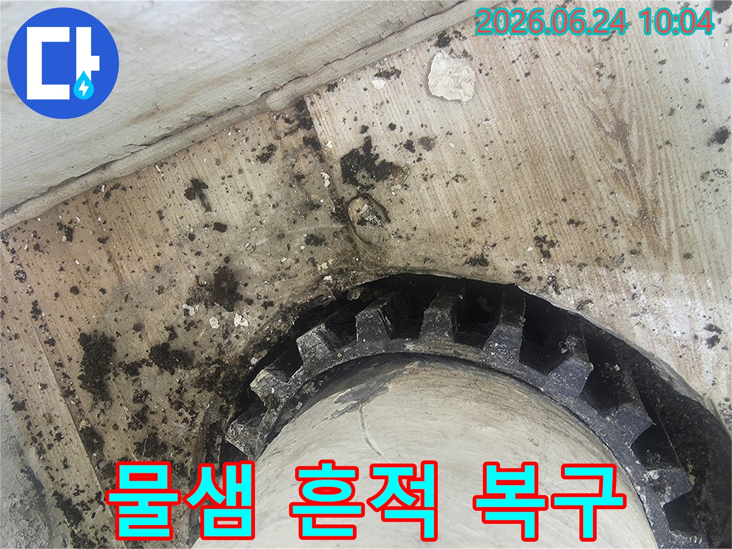 오래된 배관 주변에-물이 새어-검은 곰팡이와-물때가 심하게-생긴 모습을-보여주는 누수 현장