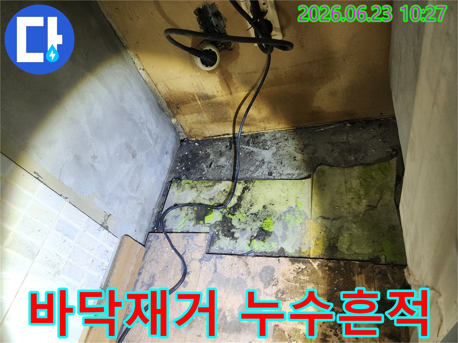누수 원인 파악을 위해-바닥재를-제거한-후-드러난-물에-젖은-하부-구조와-곰팡이-흔적을-보여주는-사진