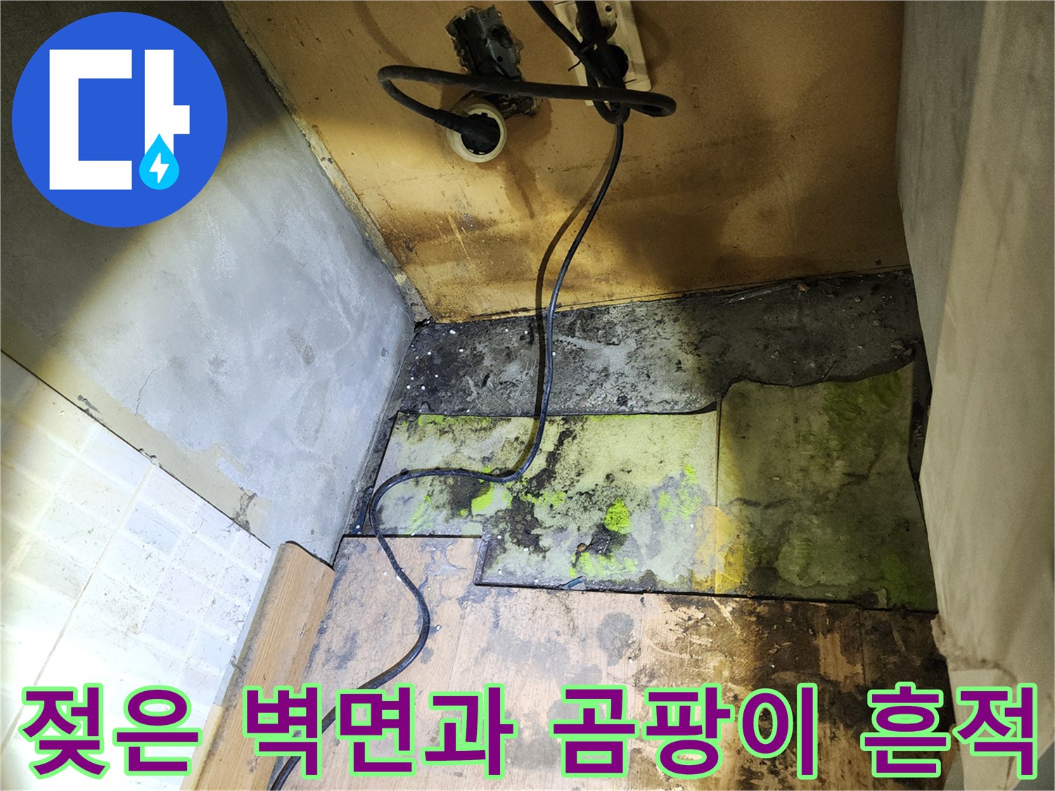 누수로 인해 습기가 차고 곰팡이가 발생한 벽체 하단부 사진