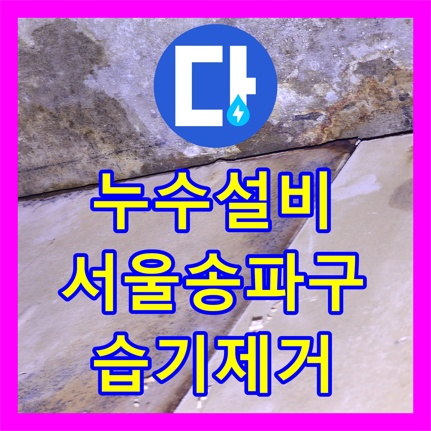 누수설비 서울 송파구 천장 점검구 습기와 옥상 방수 결함 보수 작업