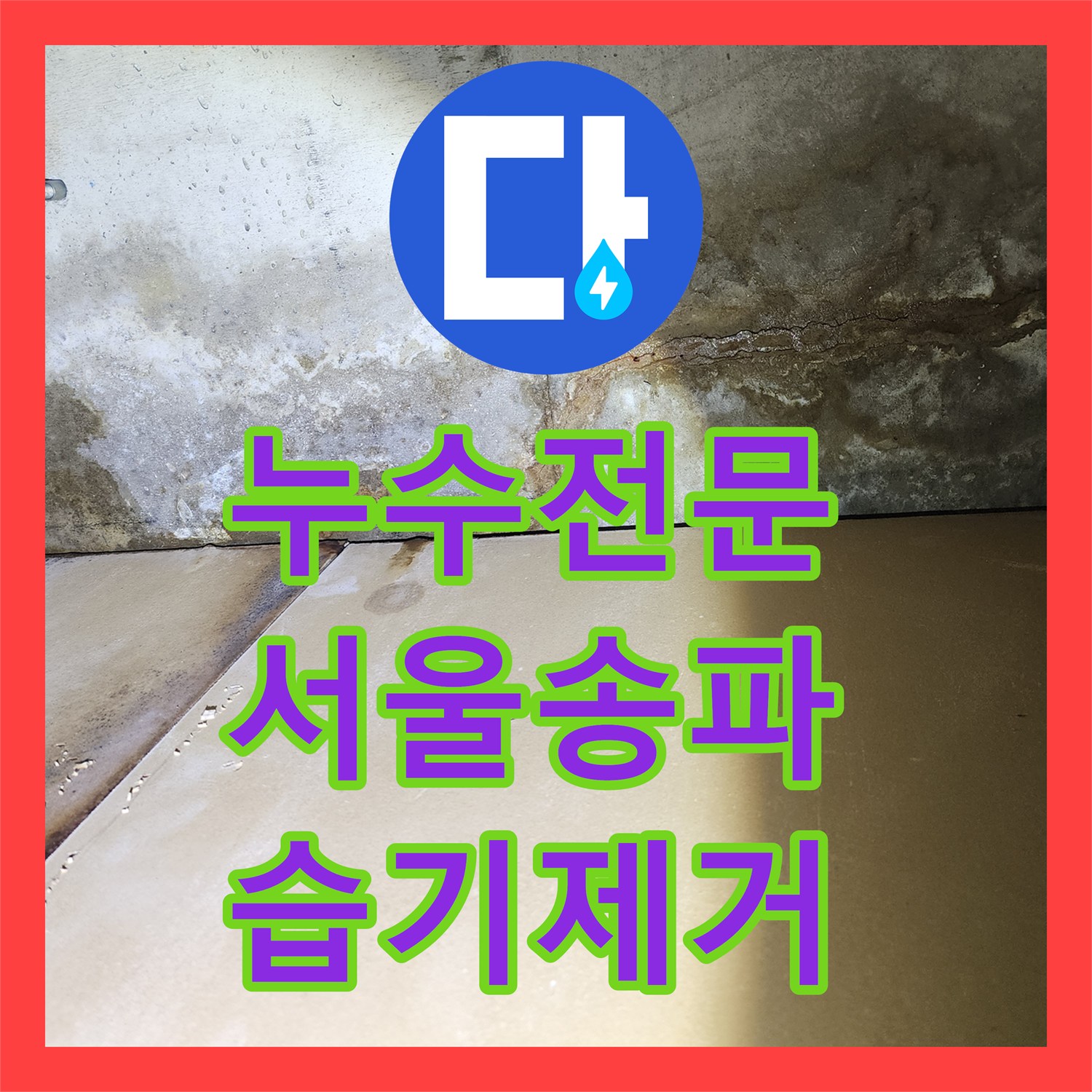 누수전문 서울 송파구 빗물 유입으로 인한 거실 천장 곰팡이 해결 과정