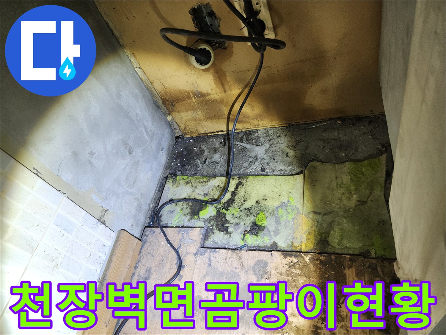 송파구 현장-천장 벽면의 곰팡이와 습기 오염 상태