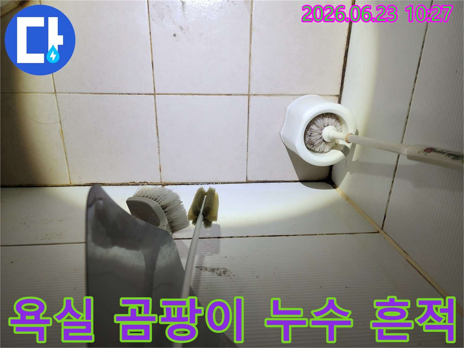 이 사진은-욕실 바닥 타일의-오래된 줄눈에-생긴 곰팡이와-오염된 청소 도구-주변을-확대한 모습입니다.