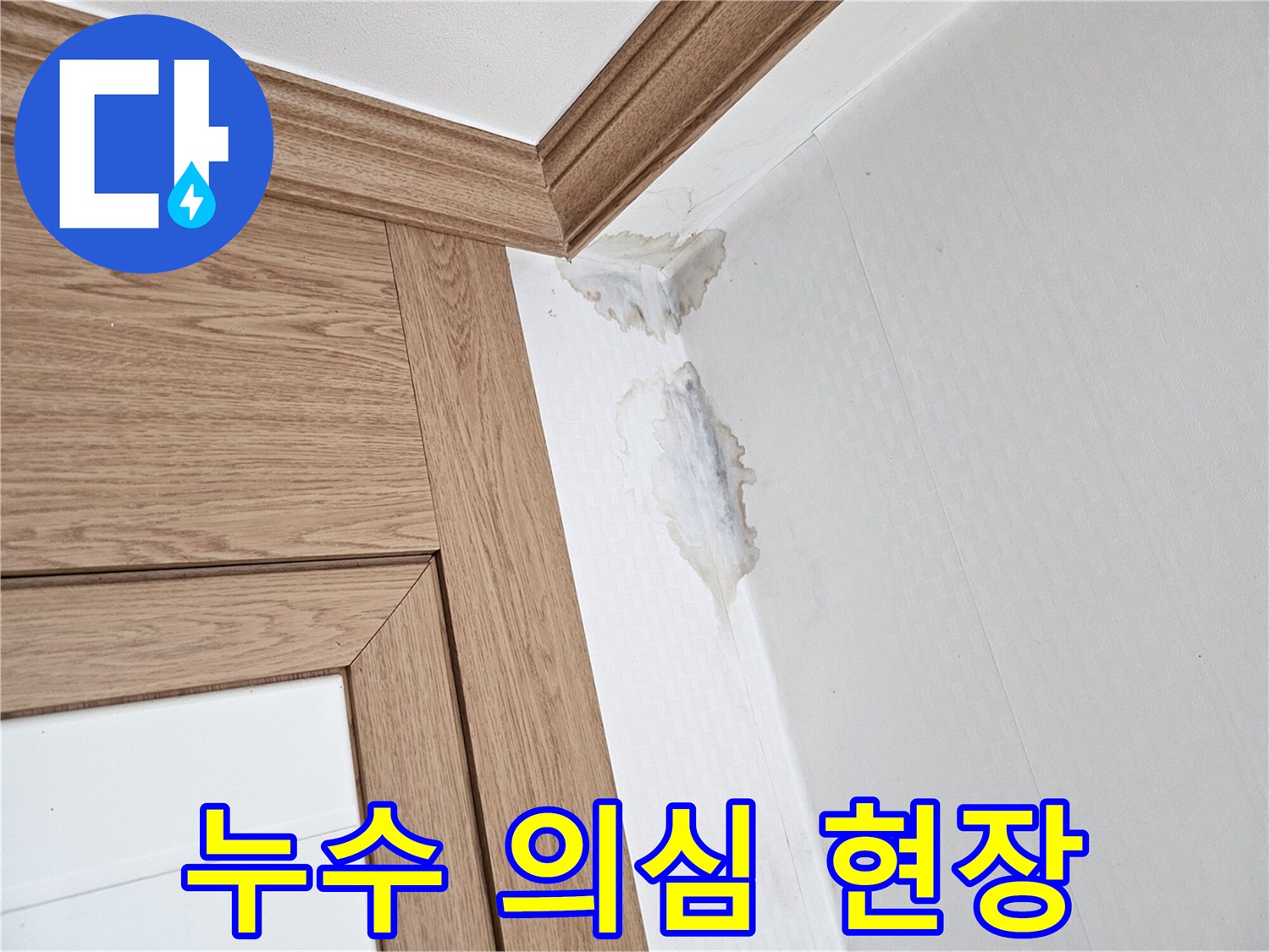 이 이미지는-벽과 천장 모서리에-누수로 인한-젖은 자국과-곰팡이가 생긴-모습을 보여줍니다.
