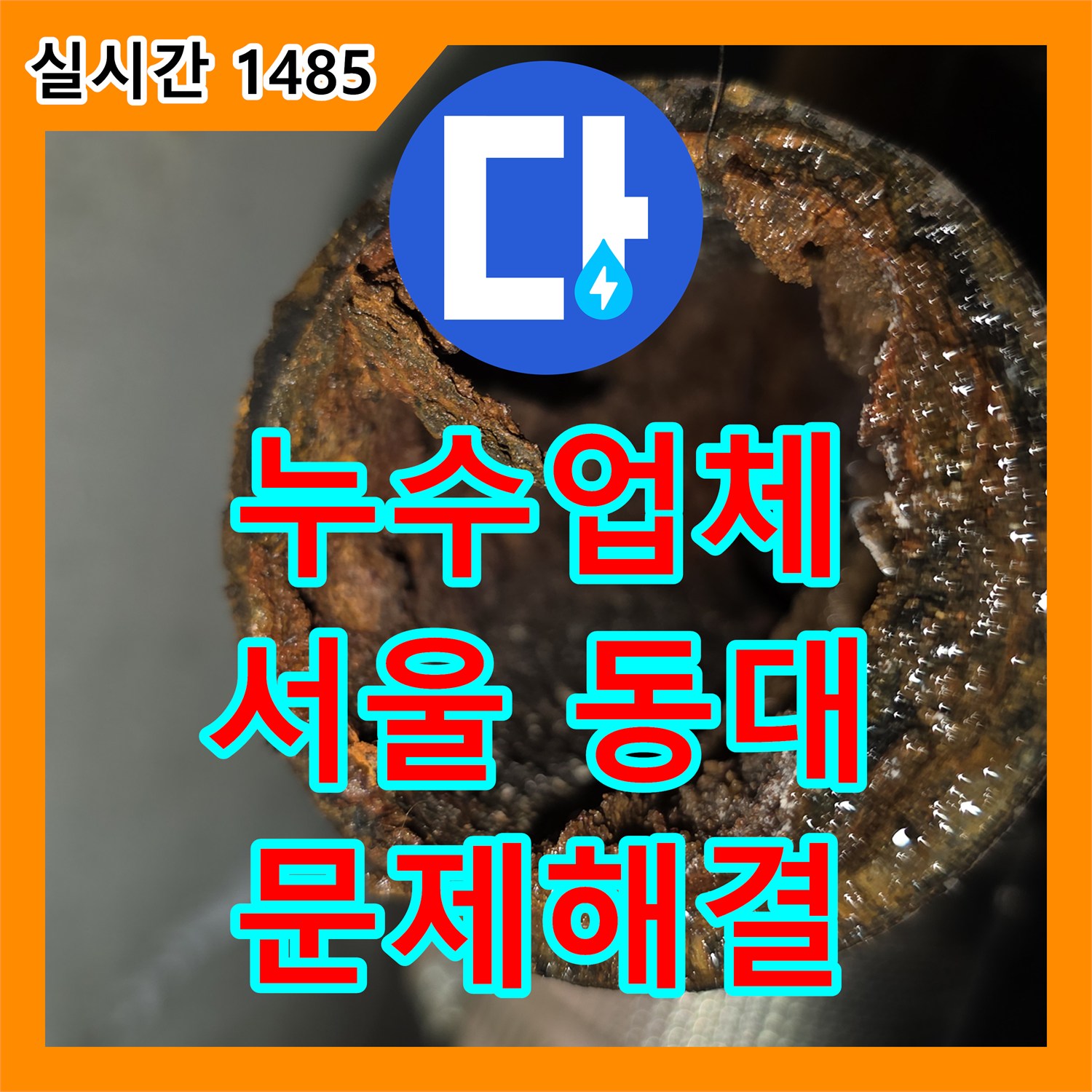 누수업체, 샤워부스 하단 방수층 파손, 곰팡이 및 아랫집 누수으로 손상된 방수층 제거 후 고성능 방수액 도포 및 실리콘 재마감하는 과정 - 동대문구