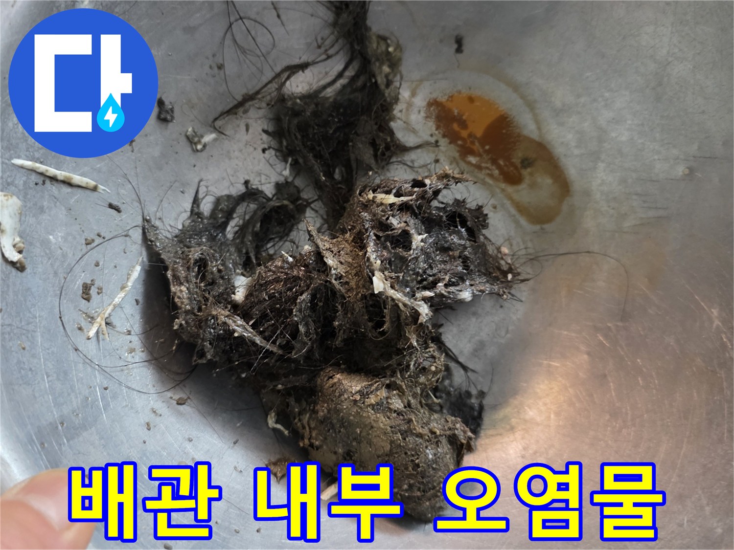 배수관에서 나온 엉겨 붙은 머리카락과 오물