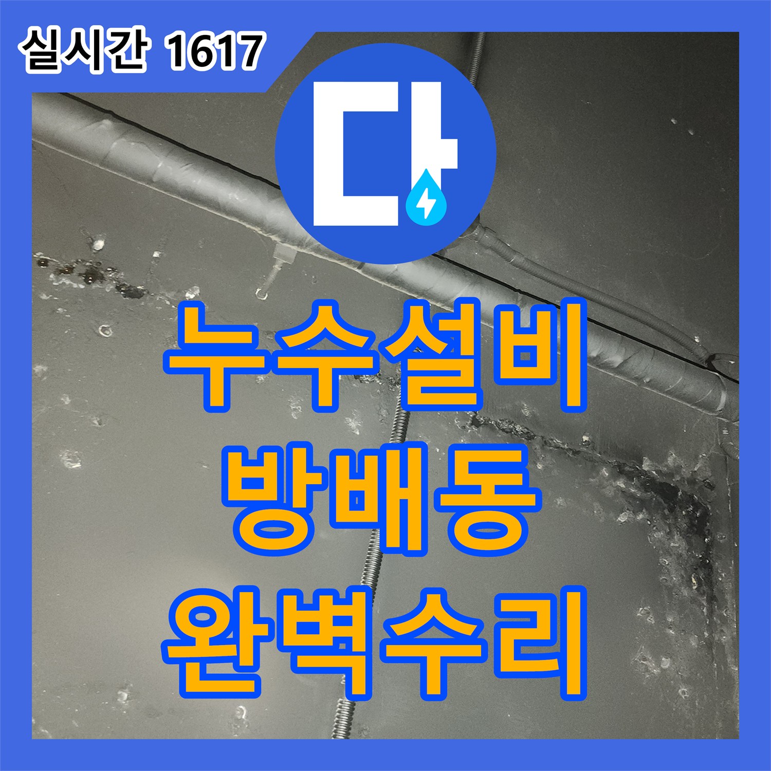 누수설비업체로 발생한 누수 흔적, 꼼꼼하게 진단하고 해결책을 제시하는 서초구