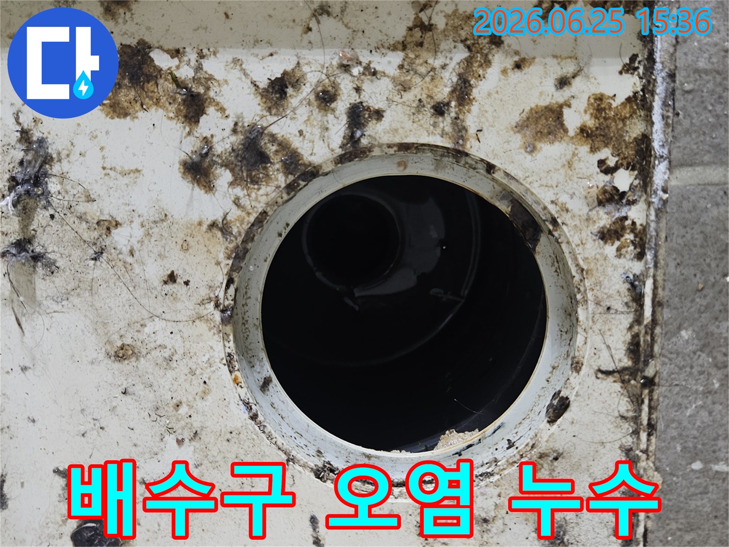 심하게 오염된 배수구 주변에 곰팡이와 이물질이 뒤섞인 모습-배수구 오염이 누수와 밀접한 관련이 있음을 보여줍니다