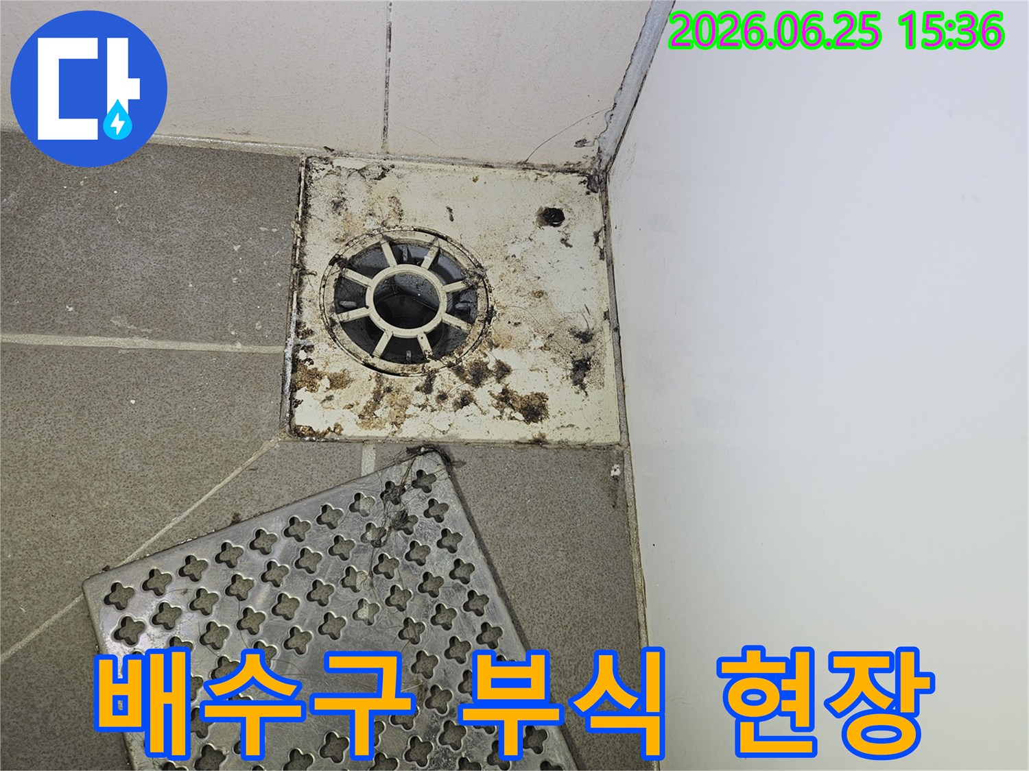 욕실-바닥-배수구의-심각한-부식과-오염-상태-누수-진단을-위해-커버가-제거된-모습