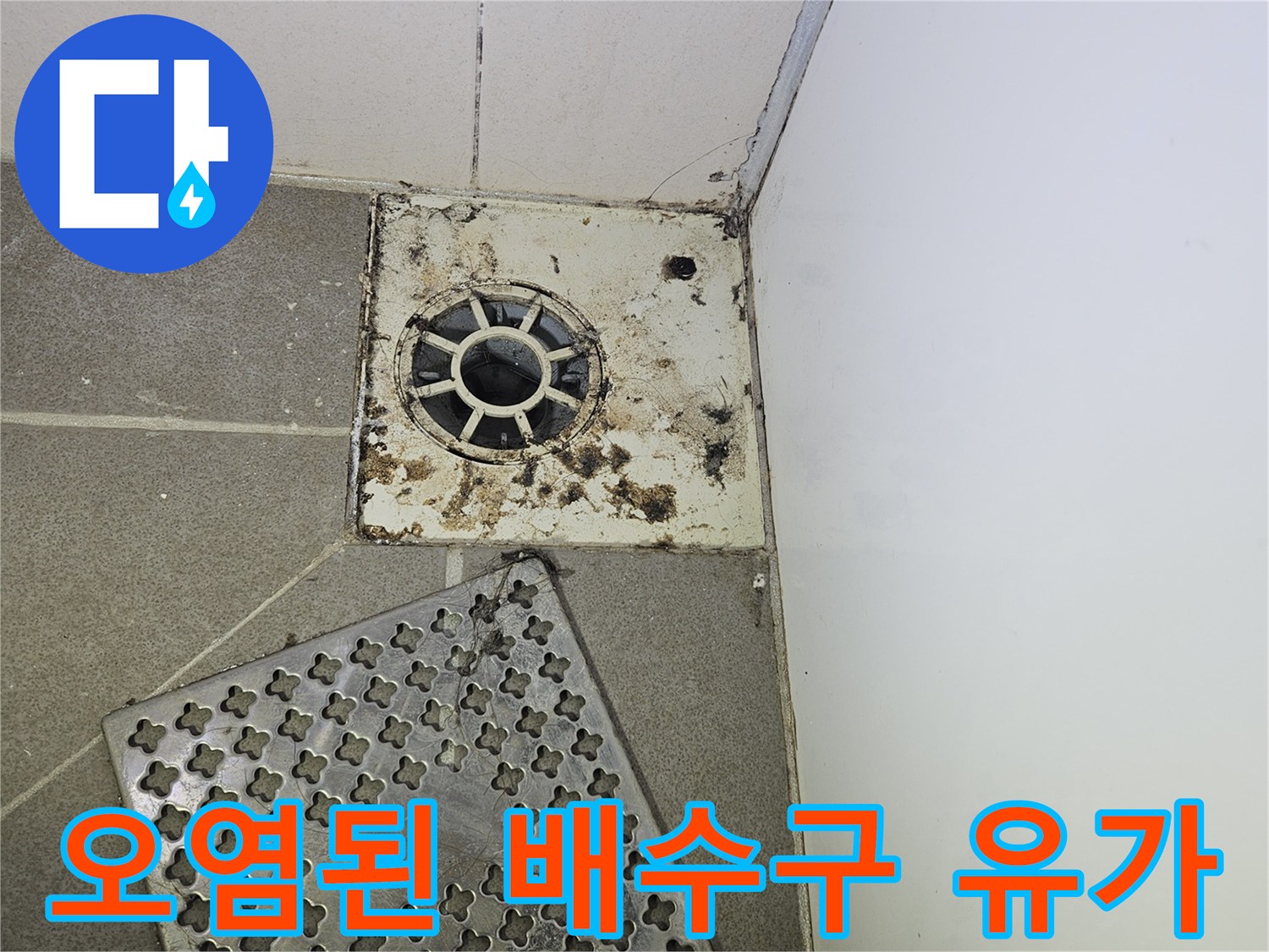 하수구 유가 주변의 오염과 이물질이 가득한 모습