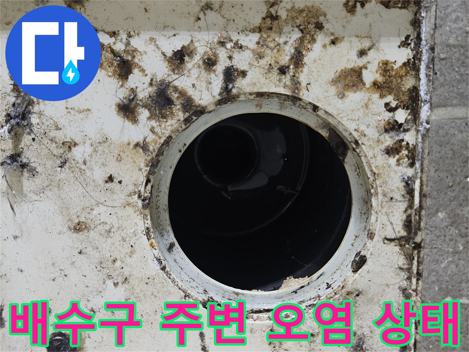 화장실-배수구-유가-주변의-심한-이물질-및-오염-상태