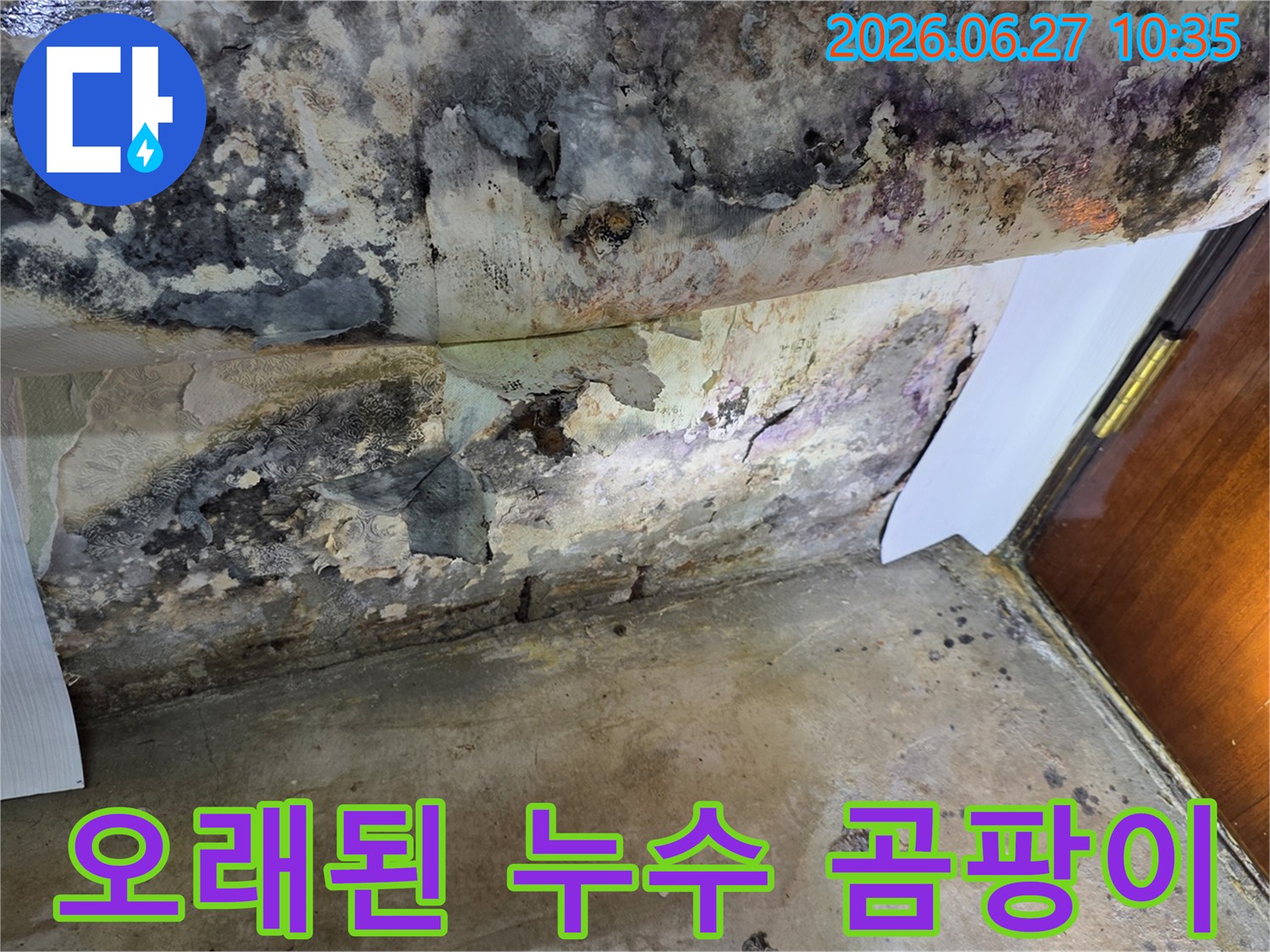 누수로 인해 천장 벽지가 심하게 벗겨지고-검은 곰팡이가 광범위하게 퍼져있는 모습입니다