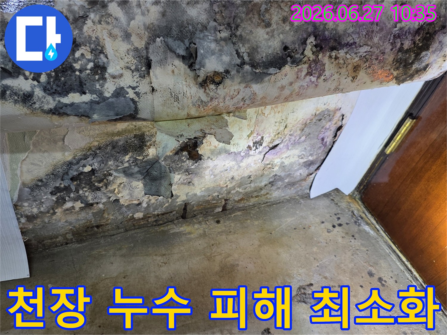 누수로 인해 천장 벽지가 심하게 벗겨지고-검은 곰팡이가 광범위하게 퍼져있는 모습입니다
