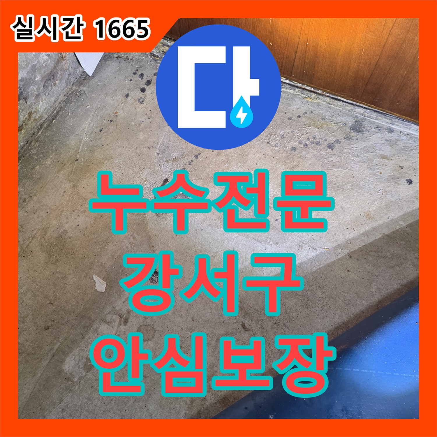 누수전문 천장 벽지의 심각한 손상과 곰팡이 문제, 정밀 탐지 후 곰팡이 제거 및 방지 작업으로 해결해 드린 서울 강서구