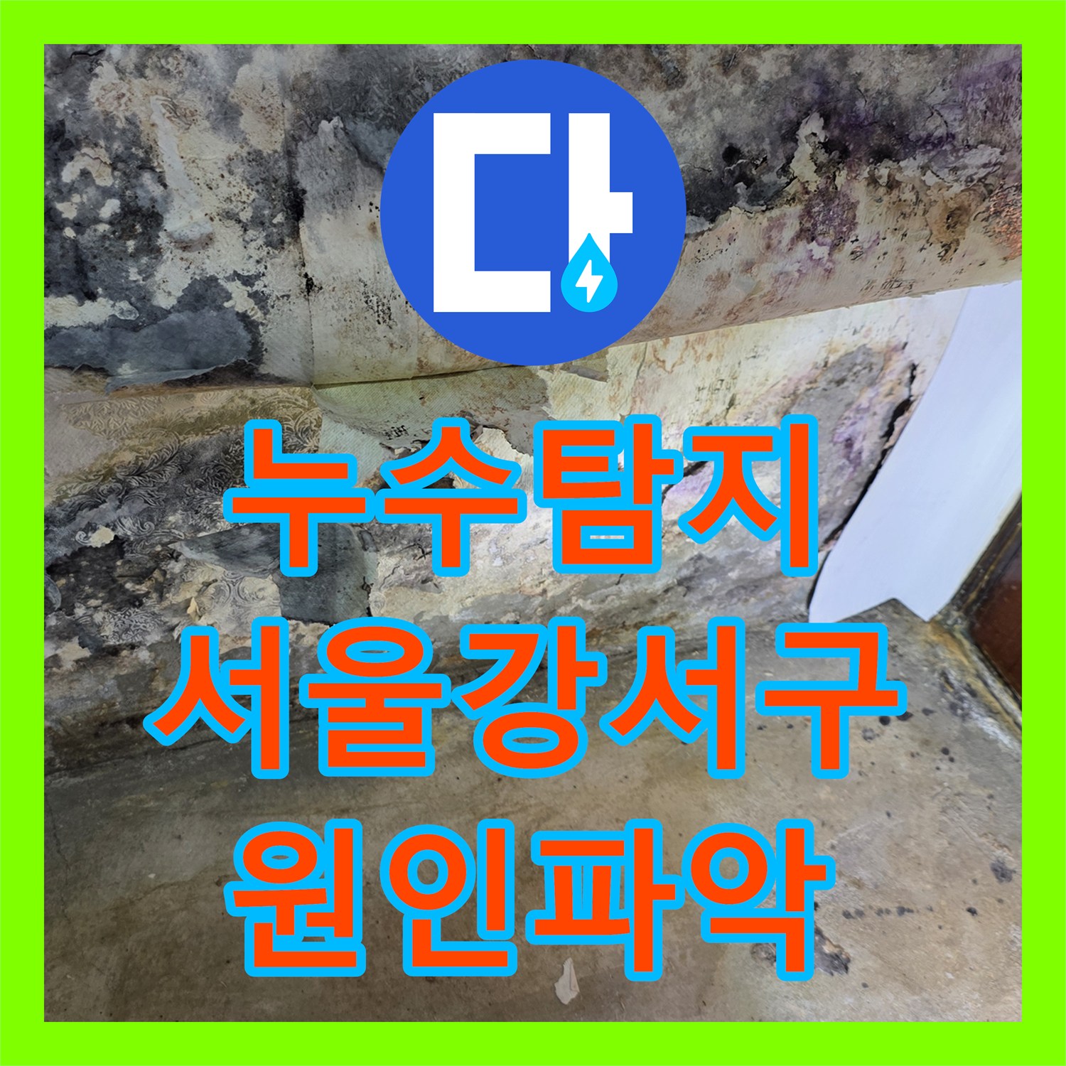 누수탐지 타 업체가 포기한 아랫집 거실 천장 물샘 원인을 찾아낸 서울 강서구 현장