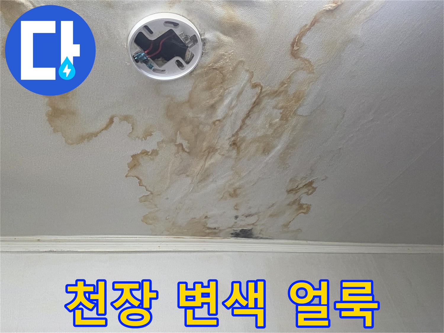 아파트 거실 천장의 넓은 누수 흔적과 변색된 벽지 상태