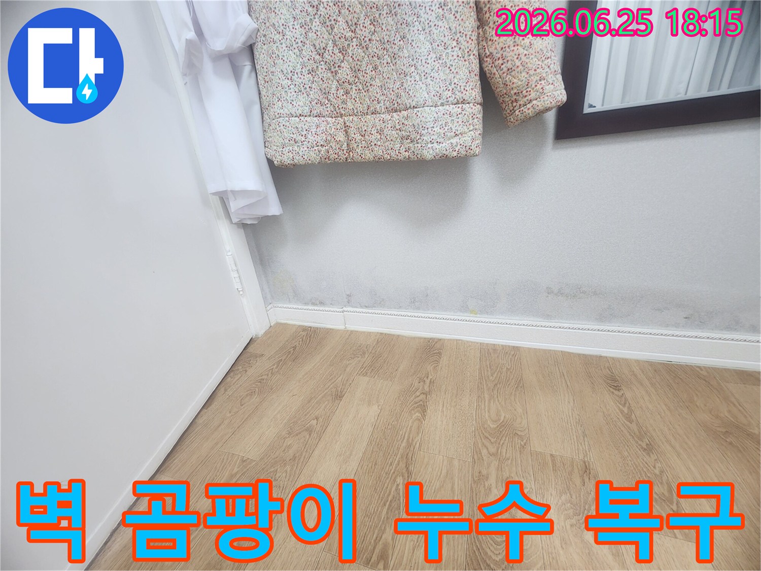 벽 하단에 발생한 곰팡이와-젖은 흔적은-누수가 진행되고 있음을 보여주며-누수 탐지 후 완벽한 복구가 필요합니다.