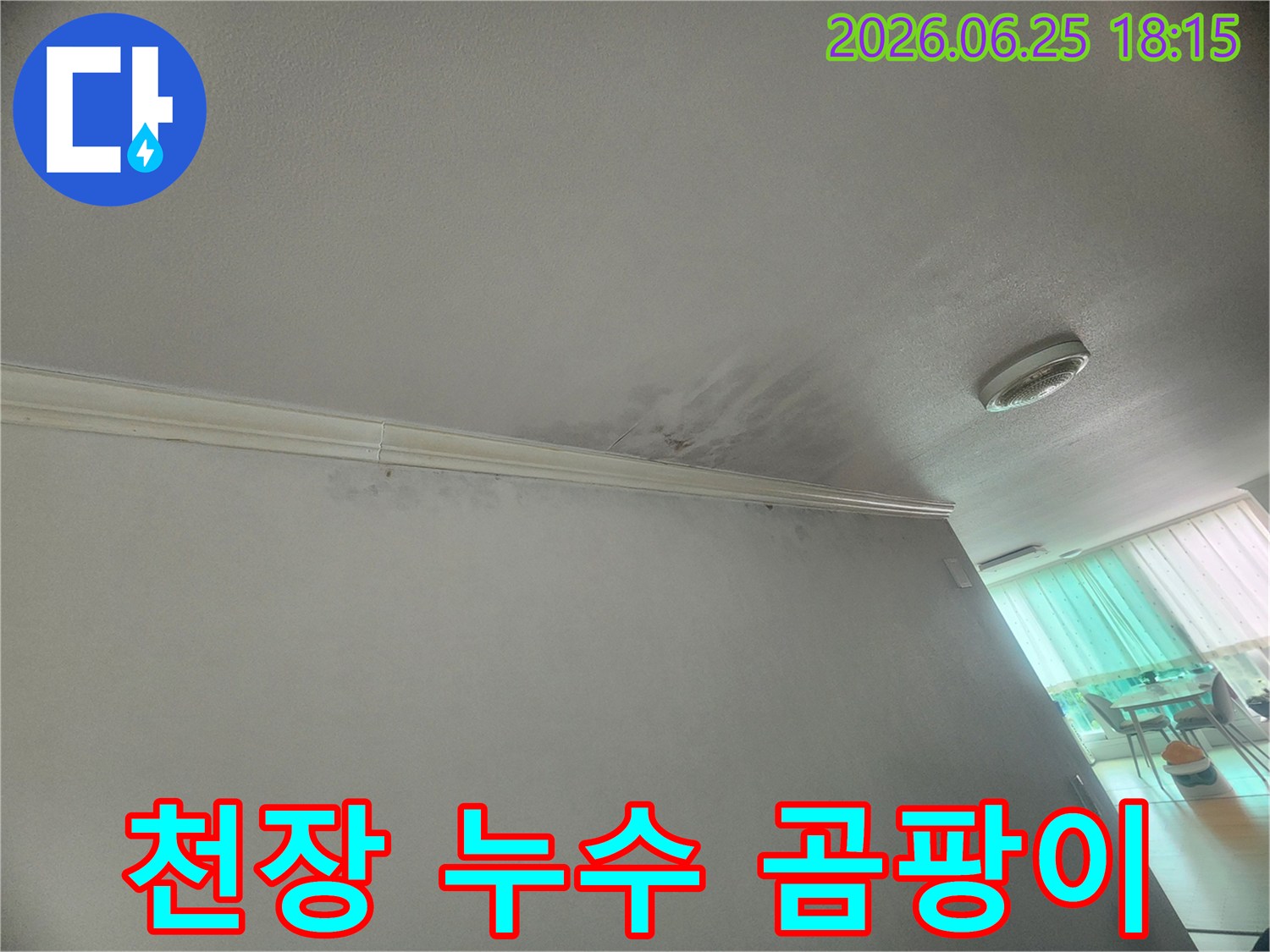 천장-모서리에-누수로-인한-곰팡이와-얼룩이-선명하게-보입니다