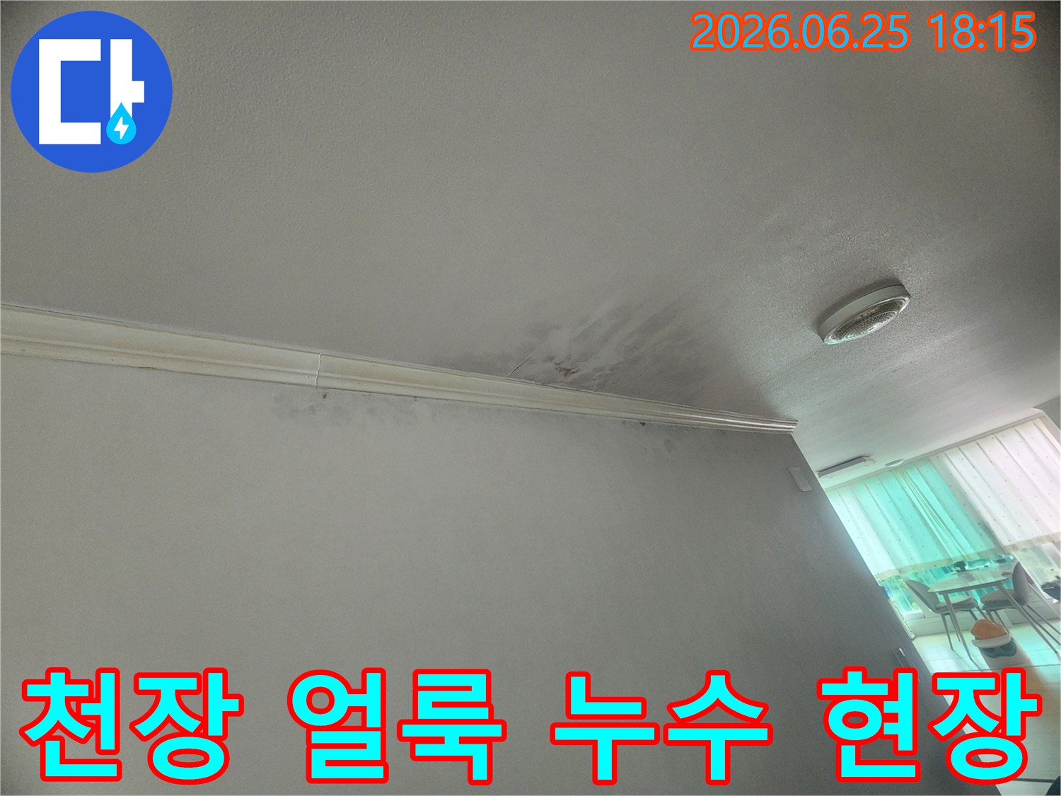 천장-모서리에-발생한-누수-얼룩은-물이-새고-있음을-명확히-보여줍니다