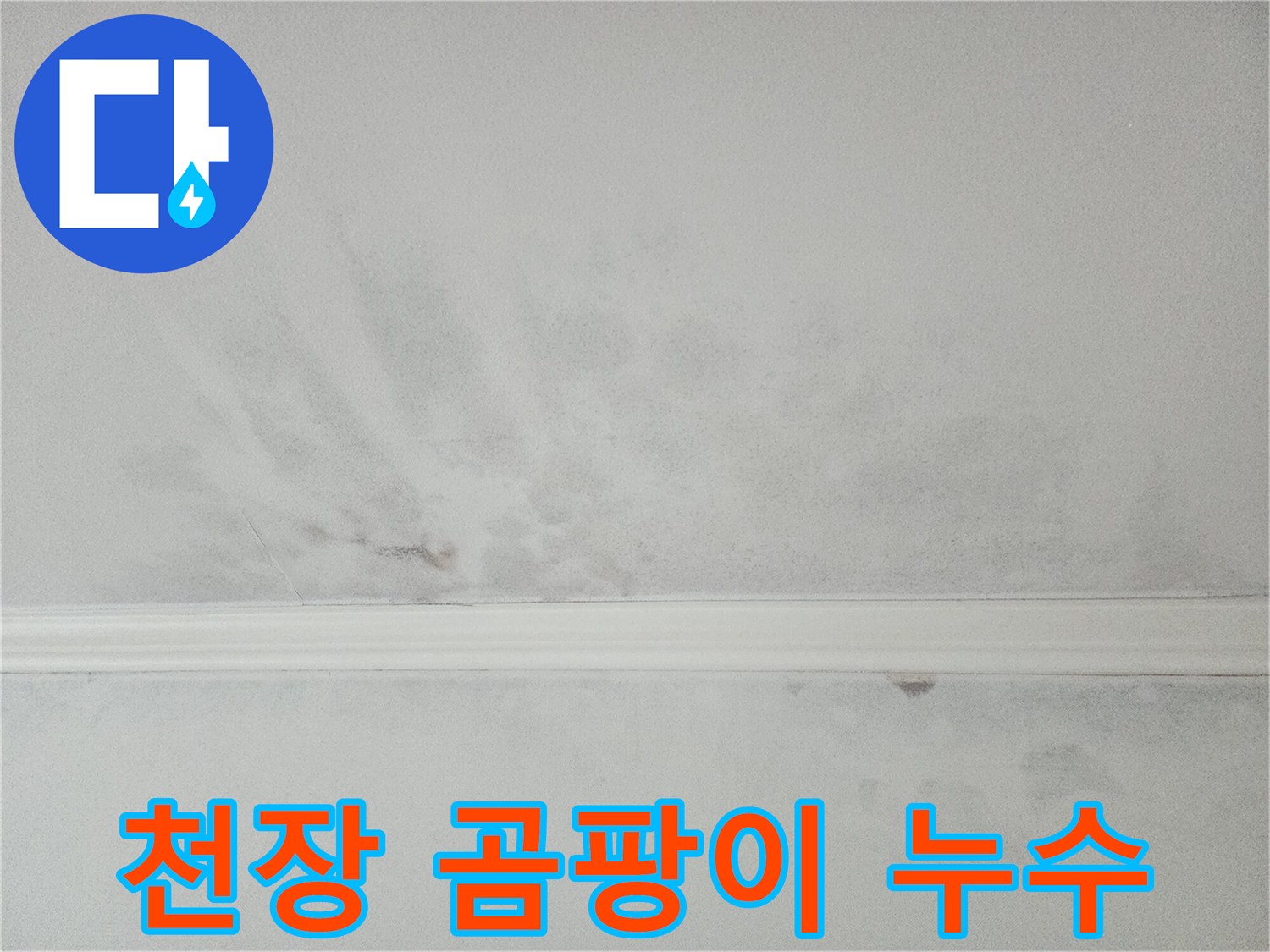 천장에 발생한 곰팡이와 누수 흔적-건강과 건물에 악영향을 줍니다
