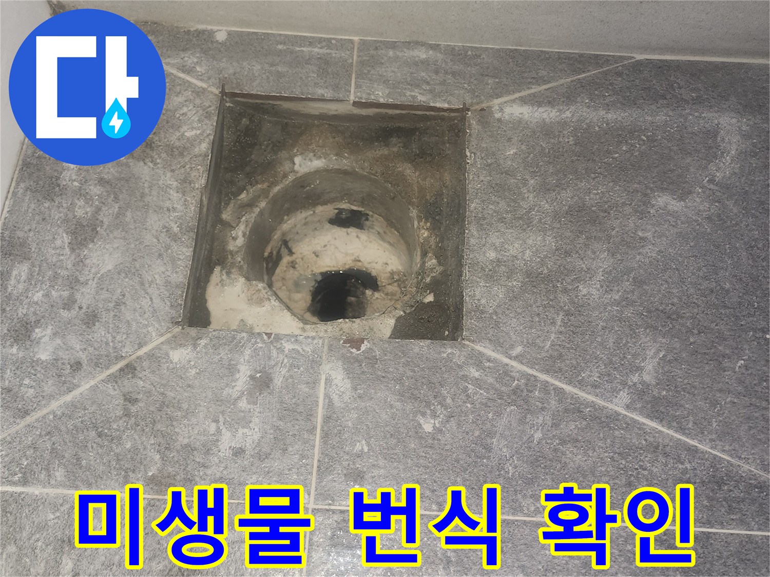 화장실 배수구-유가 제거 후-주변의 미생물 번식-여부를 면밀히 확인