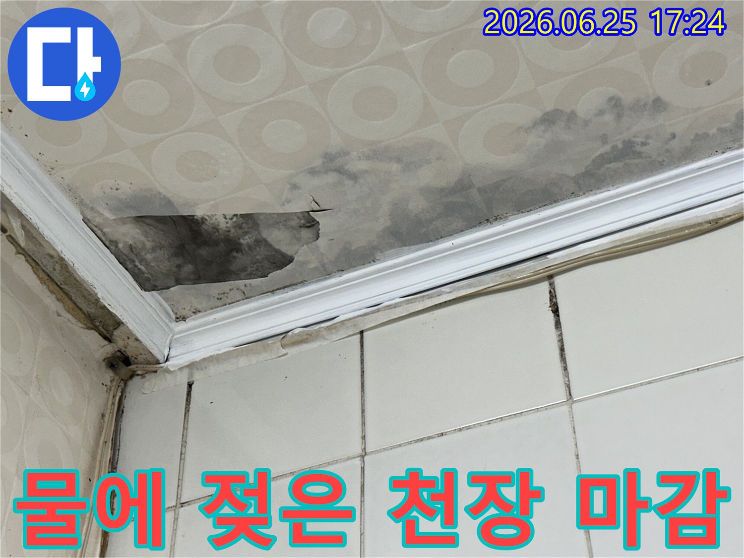 물에-젖어-들뜨고-찢어진-천장-재료와-광범위하게-퍼진-곰팡이-문제를-누수-탐지-전문가가-해결하기-위해-방문했습니다