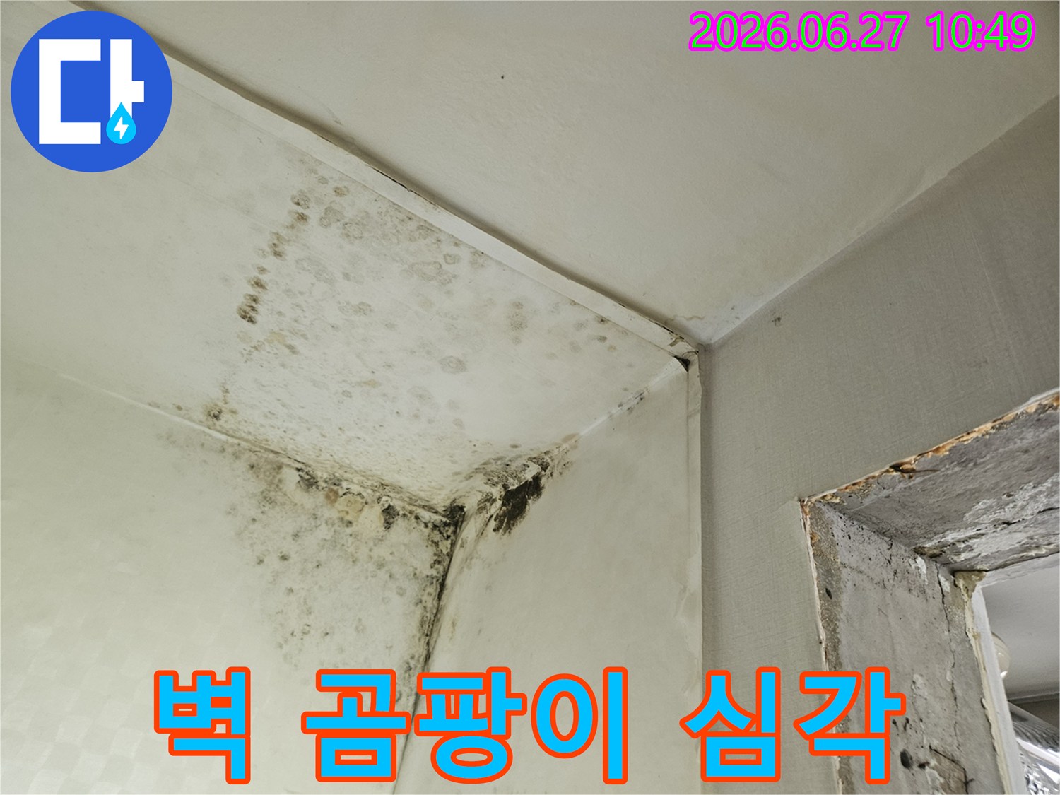 벽과 천장 모서리에 심각하게 번식한 검은 곰팡이의 모습입니다-이는 장기간의 습기 침투로 인한 주택의 구조적-위생적 문제를 나타냅니다.