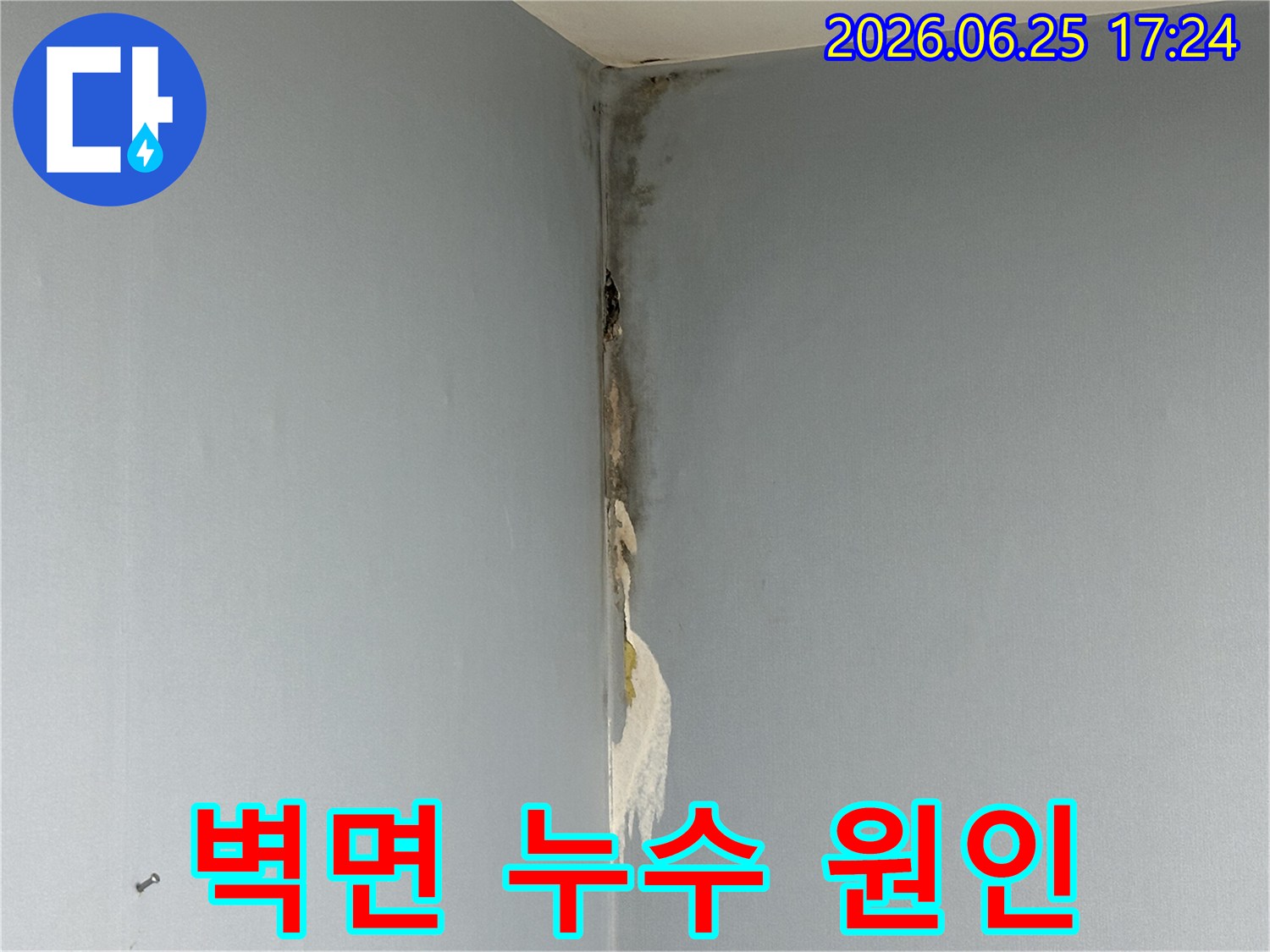 아파트-벽면-코너에서-발생한-누수로-인해-벽지가-젖어-들뜨고-심한-곰팡이가-피어난-손상-상태를-보여주는-사진입니다