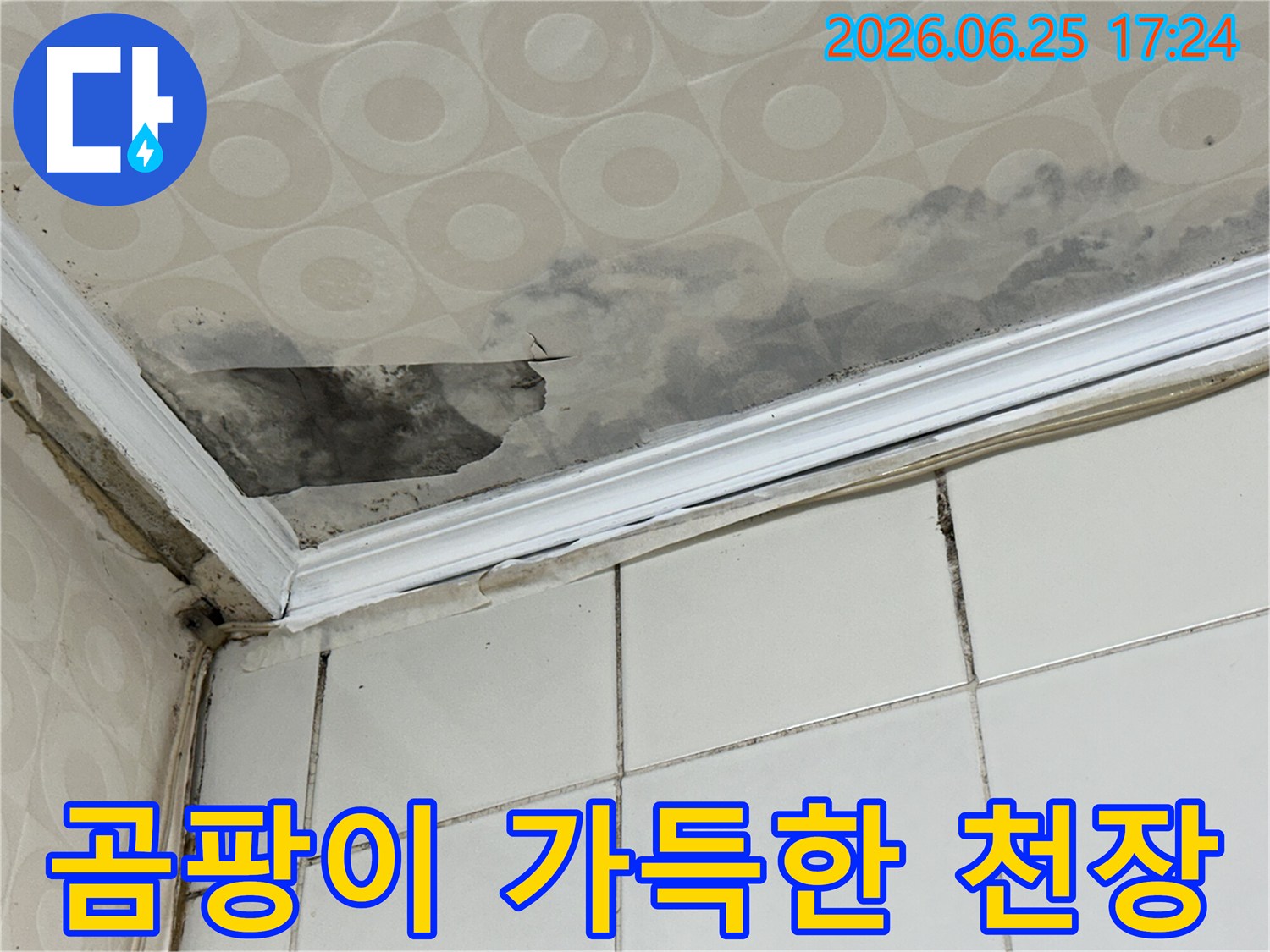 아파트-천장-모서리-부분의-누수-흔적과-곰팡이를-누수-전문가가-면밀히-검토하여-가장-효율적인-해결-방안을-제시합니다