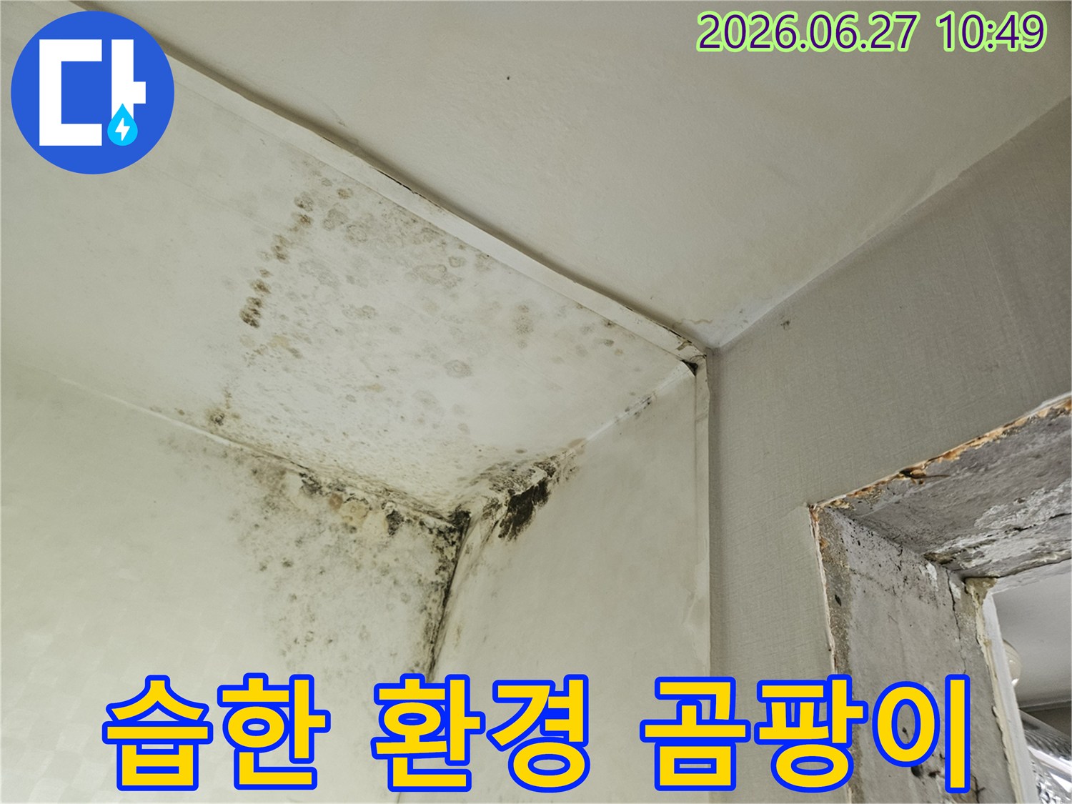 오래된 건물에서 흔히 발견되는-천장과 벽의 모서리에 심각하게 발생한 곰팡이의 모습입니다-이는 장기간의 누수나 고습도 환경을 의미합니다.