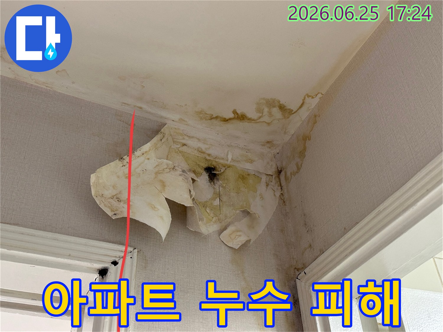 이 이미지는 아파트 내부 천장과 벽 모서리에서 발생한 심각한 누수 흔적과 벽지 손상을 명확히 보여줍니다.