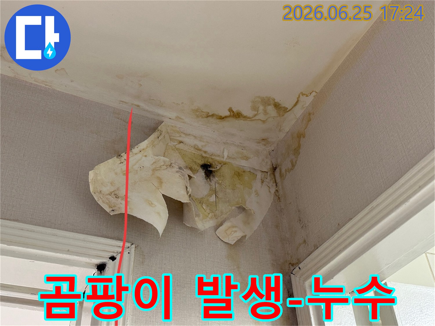 천장과 벽면의 곰팡이와 물 얼룩은 심각한 누수 문제와 그로 인한 구조적 손상을 시사합니다.
