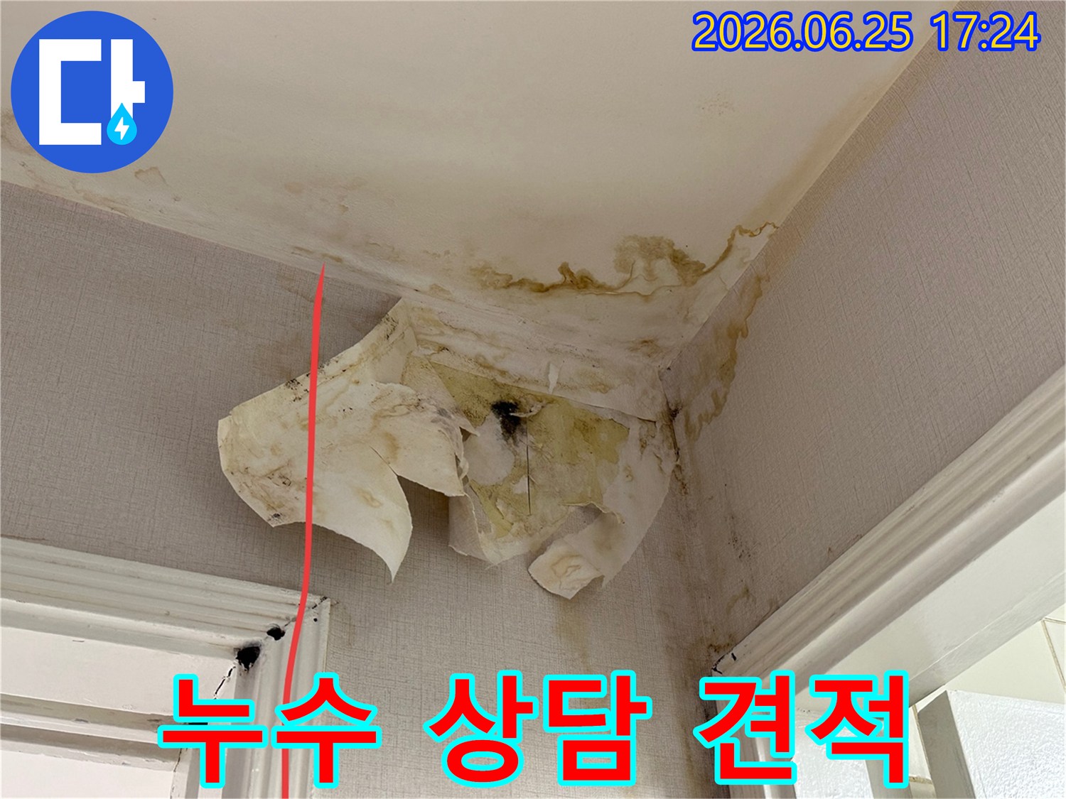 천장과 벽면의 물 얼룩-벽지 들뜸-그리고 곰팡이가 누수 피해의 심각성을 나타냅니다.