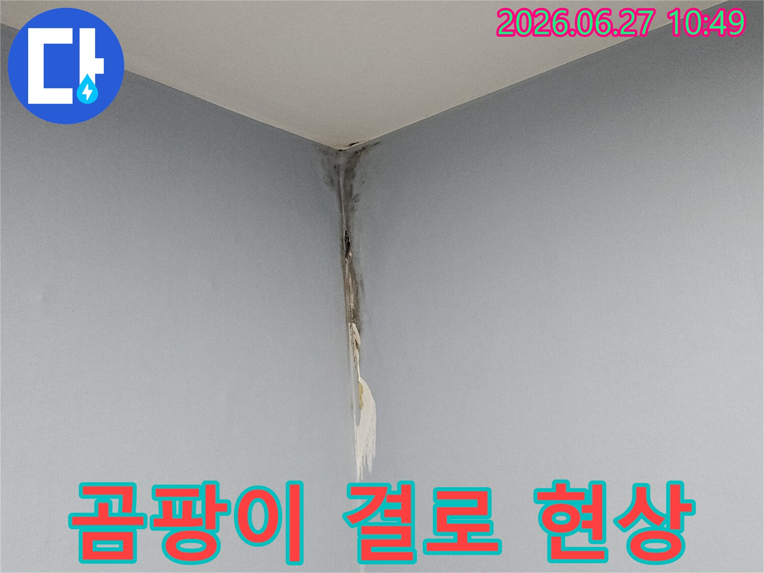 천장과 벽이 만나는 모서리 부분에 누수로 인한 곰팡이가 심하게 번져있고-벽지가 손상된 모습으로-결로 현상과 누수 피해가 복합적으로 나타나는 현장입니다.