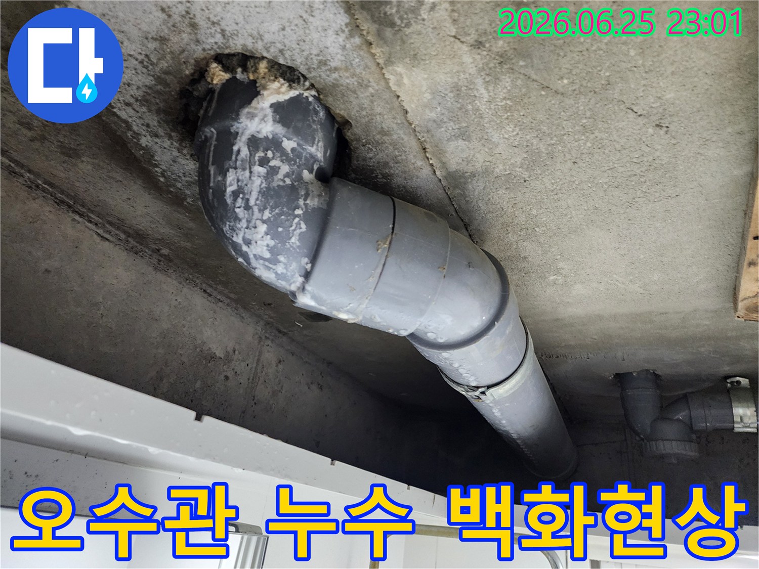 천장 콘크리트에서-오수관으로 보이는-배관 주변에-물이 새어 나온 흔적과-하얀 백화현상이 보입니다