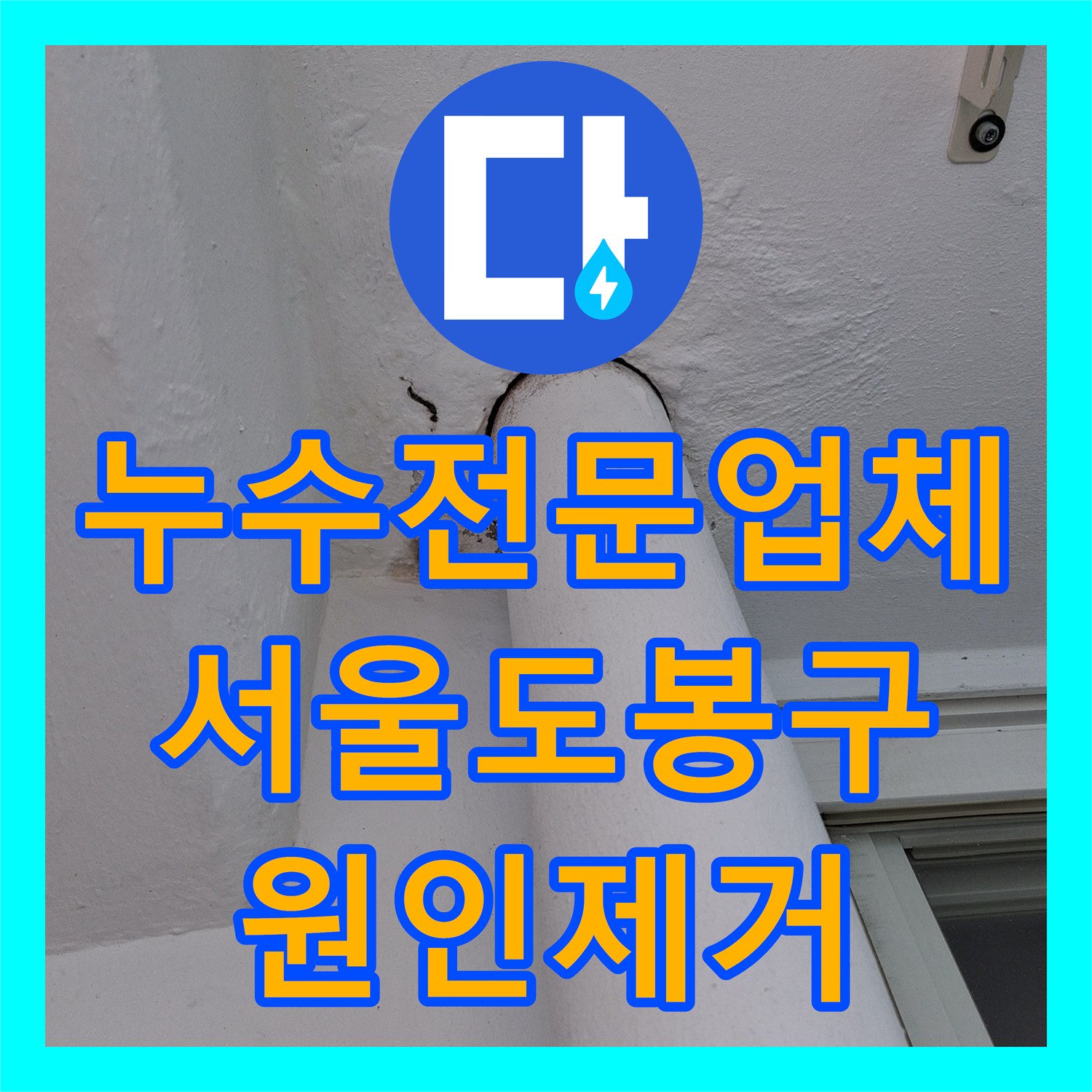 누수전문업체 세탁실 천장 곰팡이와 물길을 잡기 위한 정밀 공사 서울 도봉구