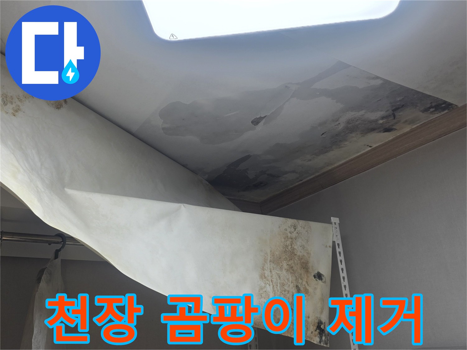 주택 천장에서 물이 새서-벽지가 젖고-심한 곰팡이가 발생한-현장을 제거 중입니다